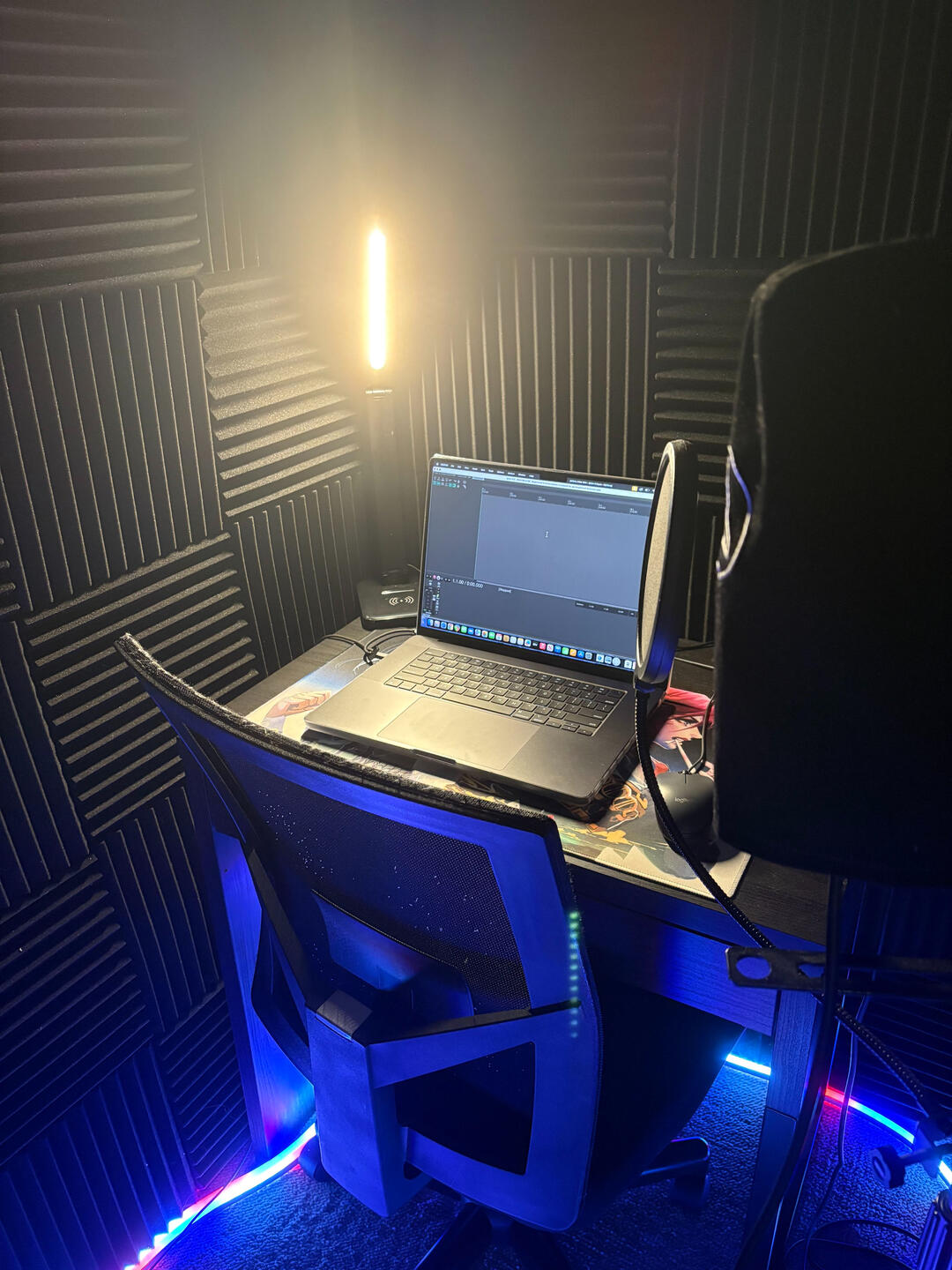 Professional studio setup